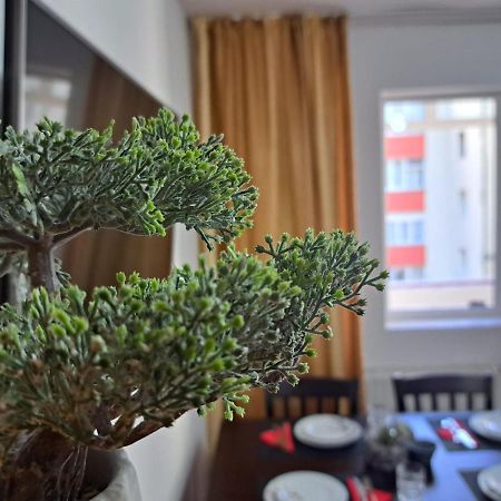 Aviliz Apartament Buşteni Buitenkant foto