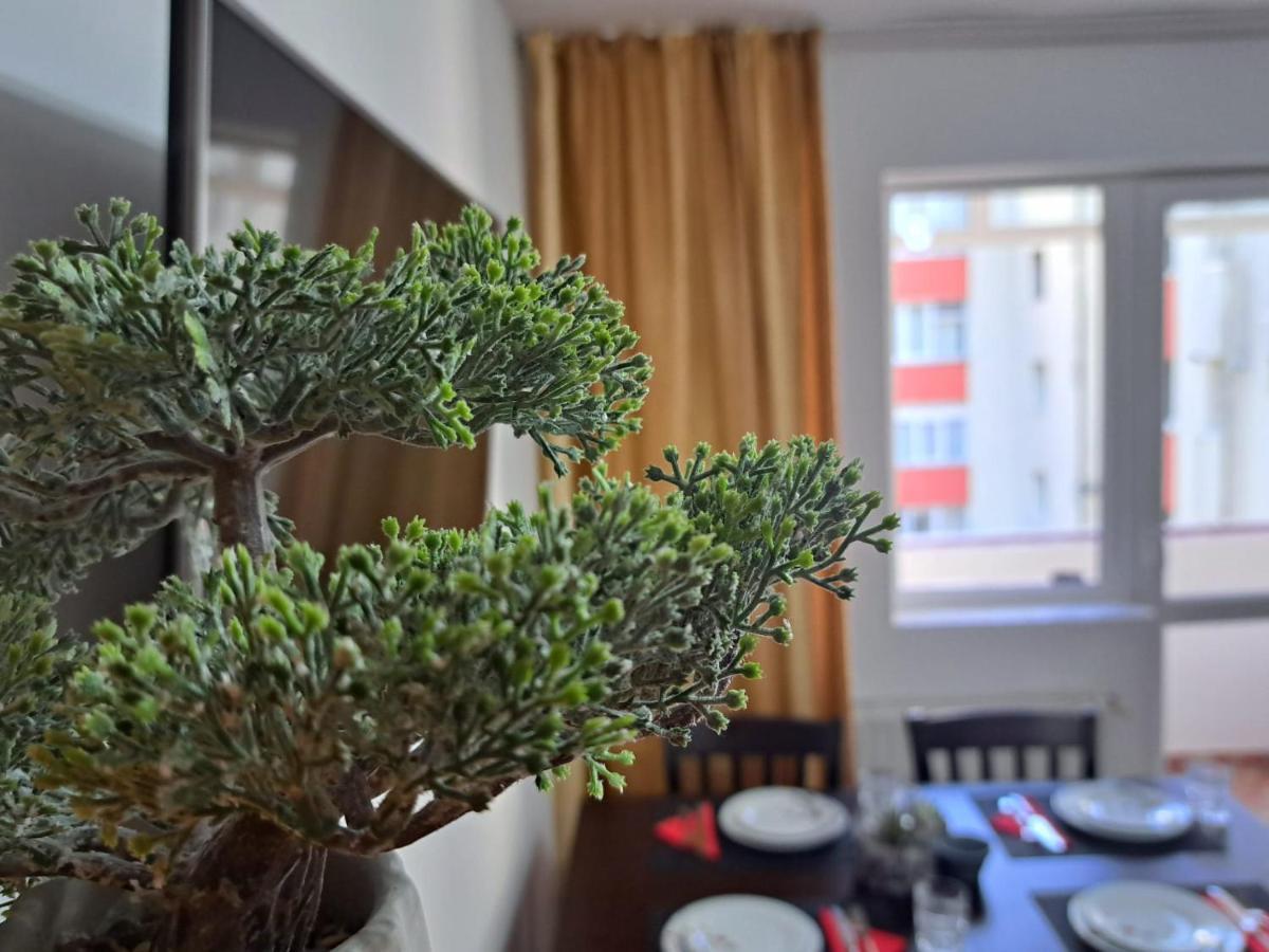 Aviliz Apartament Buşteni Buitenkant foto