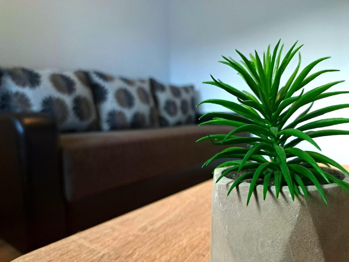 Aviliz Apartament Buşteni Buitenkant foto
