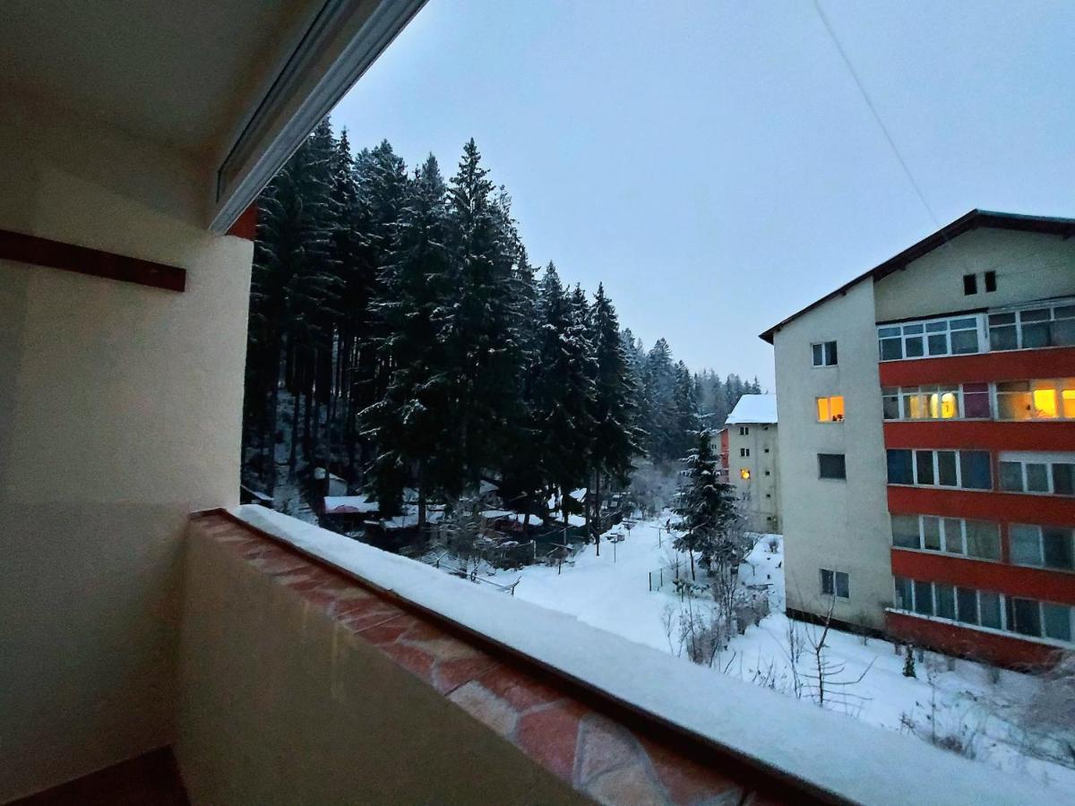 Aviliz Apartament Buşteni Buitenkant foto