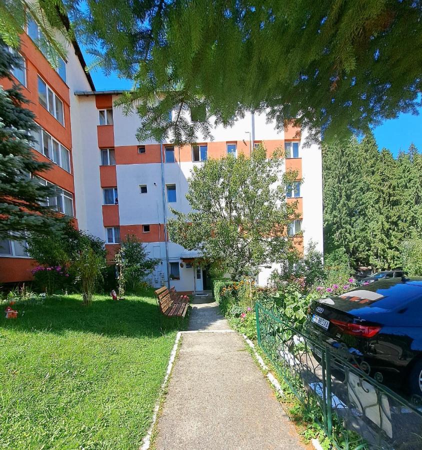 Aviliz Apartament Buşteni Buitenkant foto