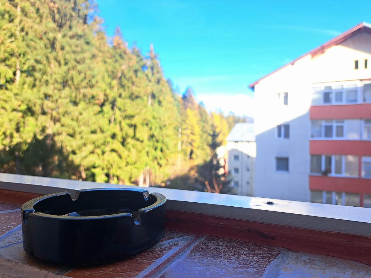 Aviliz Apartament Buşteni Buitenkant foto