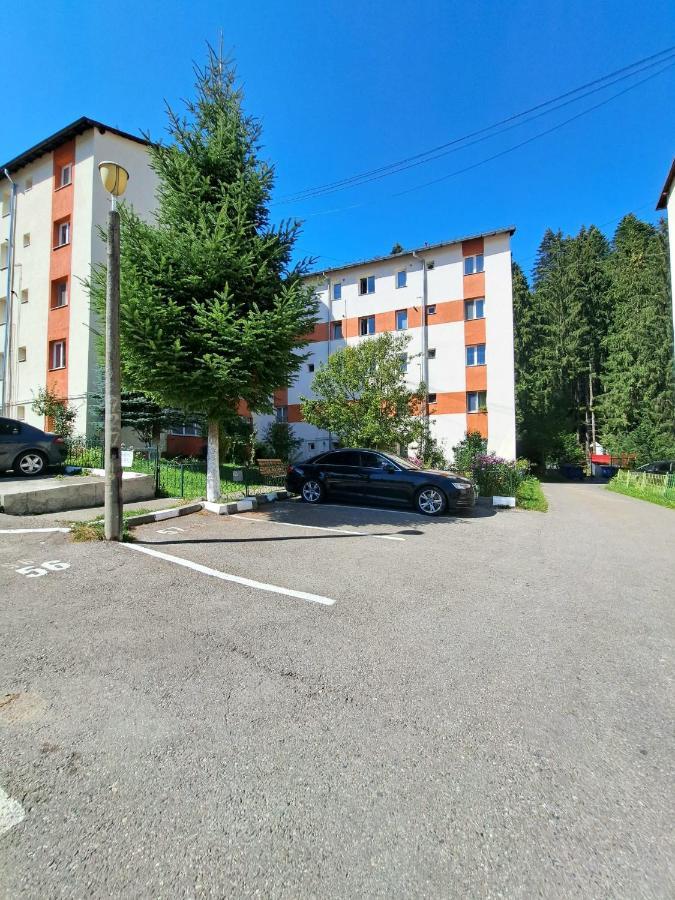 Aviliz Apartament Buşteni Buitenkant foto
